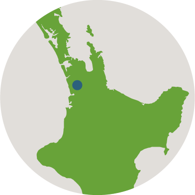 Rotowaro location on map